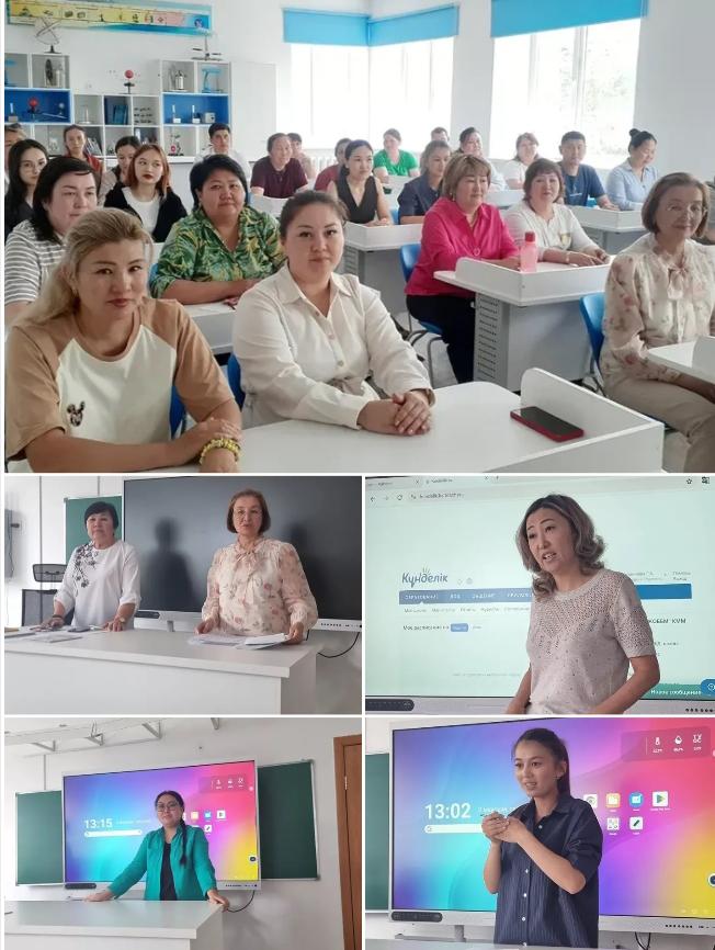 сас6