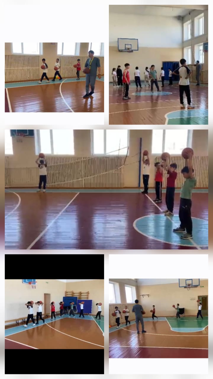 инош2